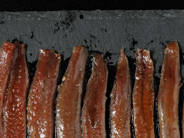 Tour por las marismas y visita a una fábrica de anchoas