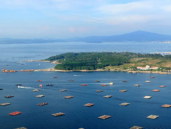 Paseo en barco por la ría y degustación de mejillones en O Grove