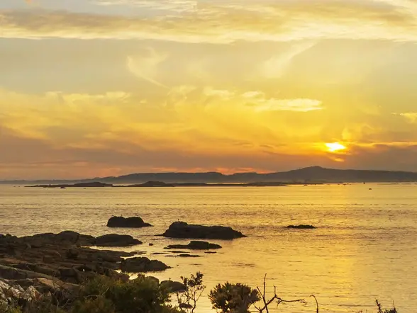 Paseo en barco con mariscada a la puesta de sol en O Grove