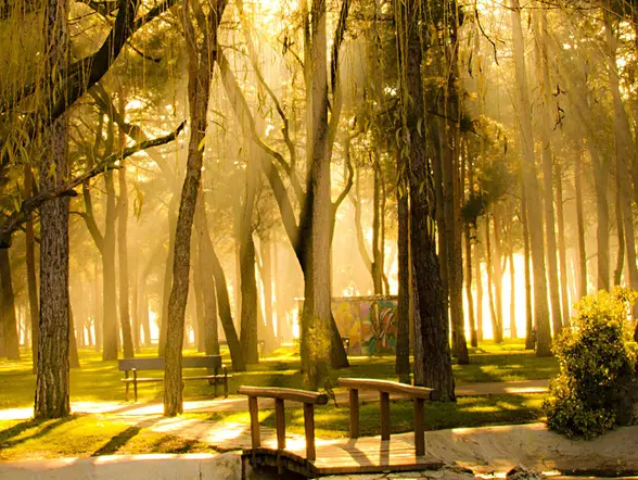 Tour a pie por Ponferrada y visita guiada al Castillo de los Templarios