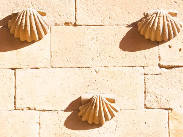 Tour Privado a Pie por Salamanca