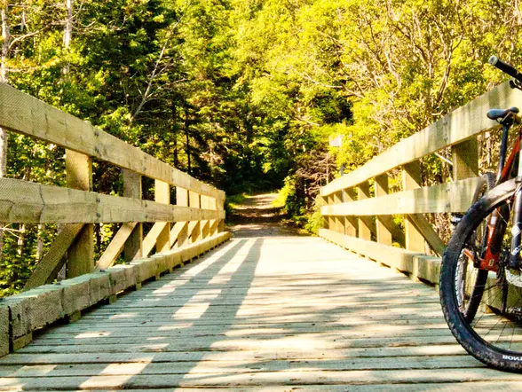 Alquiler de bici por la senda del Oso - buendía