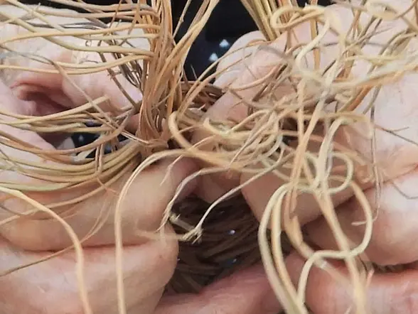 Visita guiada por el conjunto patrimonial de El Romeral