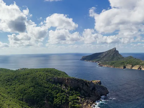 Excursión en barco al Parque Natural de la Isla Dragonera