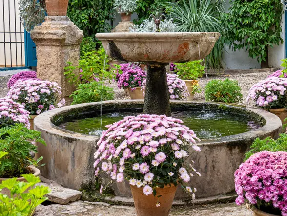 Visitar los Patios de Córdoba