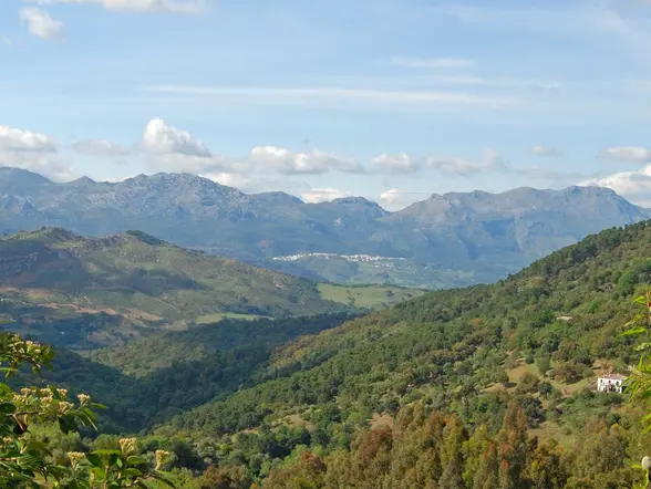 Excursión a Los Reales de Sierra Bermeja con senderismo