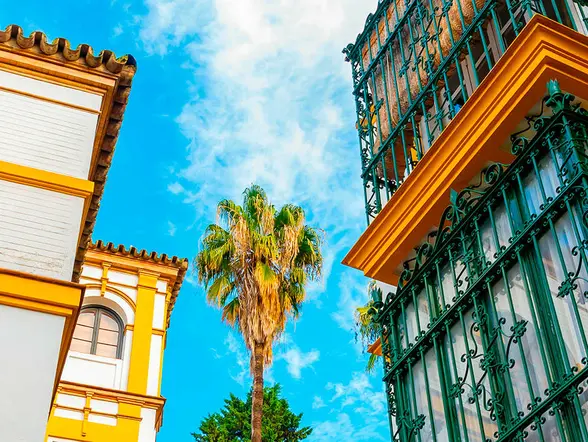 Free tour por el Barrio de Santa Cruz de Sevilla