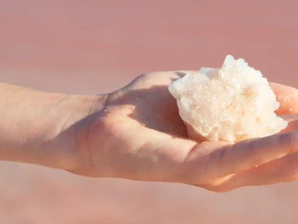 Tour por las Salinas de Torrevieja