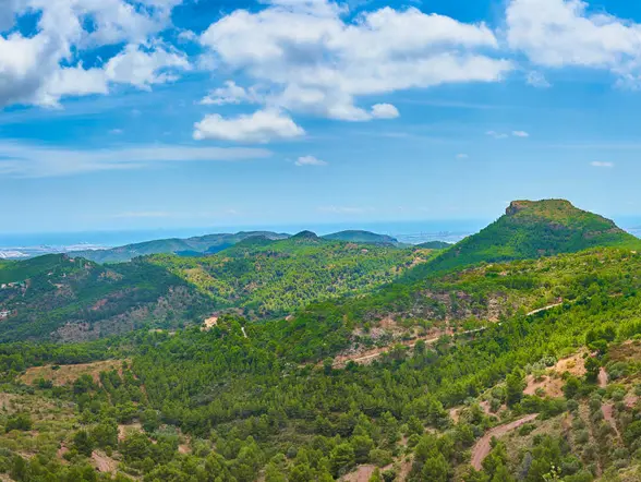 Excursión en 4x4 por el Parque Natural de Calderona desde Valencia - buendía