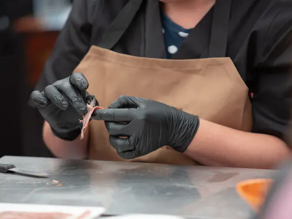 Excursión a Santoña con visita a una conservera y paseo en barco desde Santander