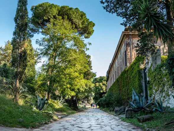 Vista panorámica del centro histórico de Roma con arquitectura clásica y monumentos emblemáticos bajo cielo despejado.