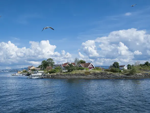 Paseo en barco por el fiordo de Oslo con cena