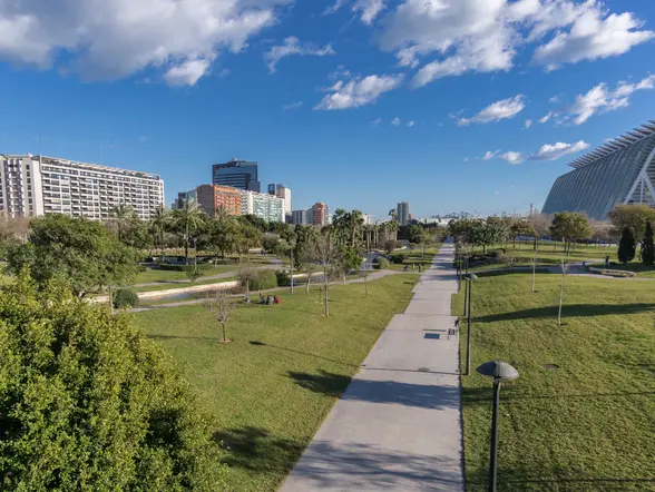 Tour en bici por la Albufera - buendía