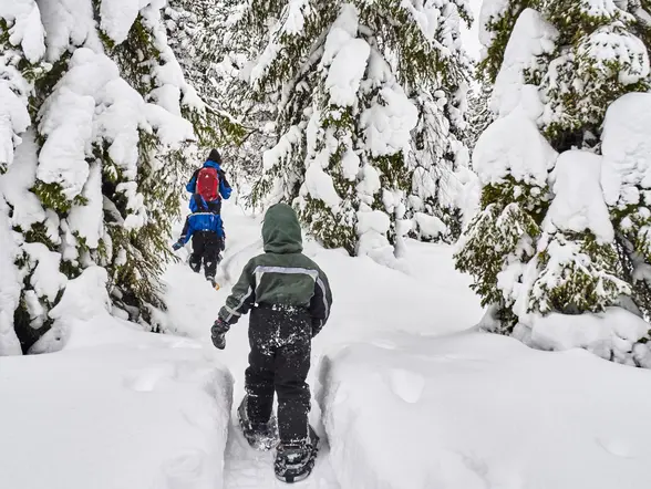 Dos personas caminando con raquetas de nieve por un sendero estrecho entre árboles cubiertos de nieve en un bosque invernal.