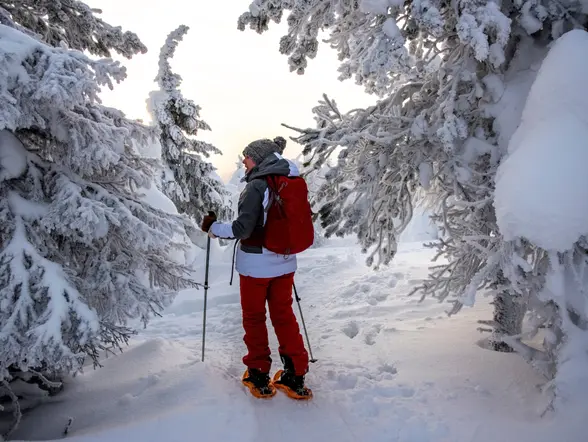 Persona con raquetas de nieve y bastones caminando entre árboles cubiertos de nieve en un paisaje invernal, equipada con mochila roja y ropa térmica.