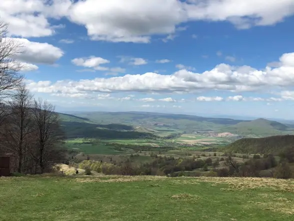 Durante el recorrido también podrás contemplar los paisajes verdes de los senderos.
