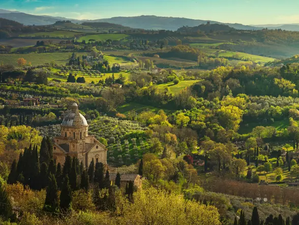Los bosques y viñedos del entorno de Montepulciano enamoran a todos los turistas.
