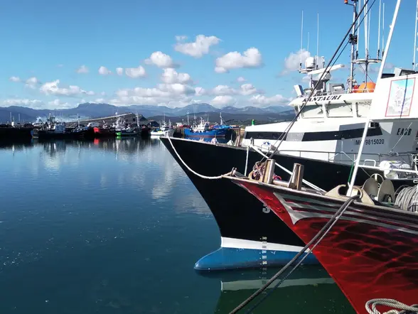 uerto pequero de Santoña con una bella imagen de barcos de diferentes colores.