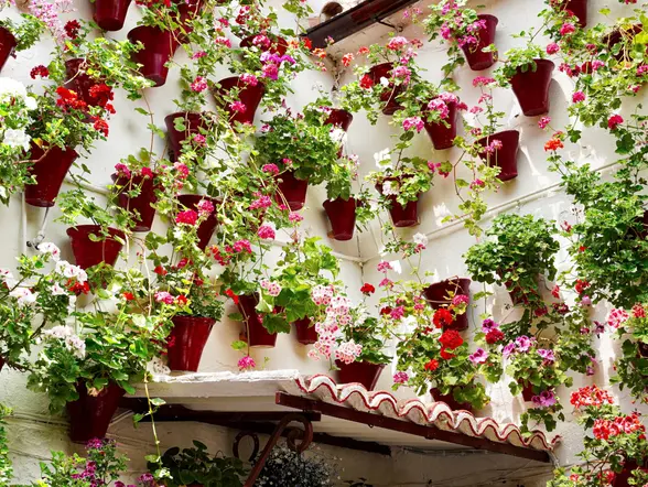 Festival Patios de Córdoba, declarado Patrimonio Inmaterial de la Humanidad.