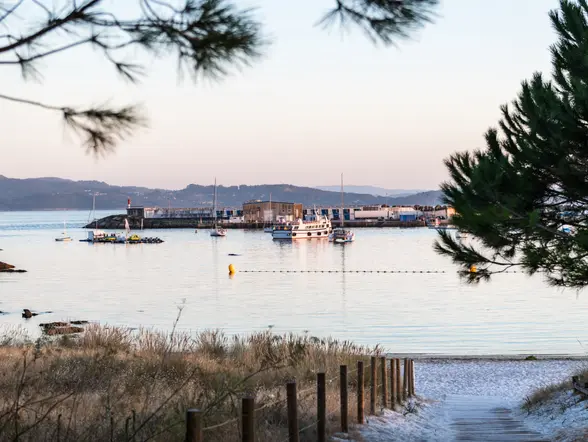 Imagen general del puerto de Portonovo