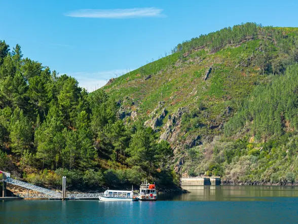 Navegar en catamarán por el río Sil es una experiencia única que permite admirar de cerca los cañones y la tranquilidad del paisaje gallego.