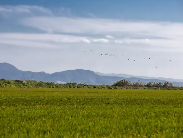 Vistas del horizonte desde la Albufera, Valencia