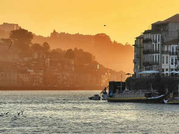 Tour privado por el centro de Oporto - buendía
