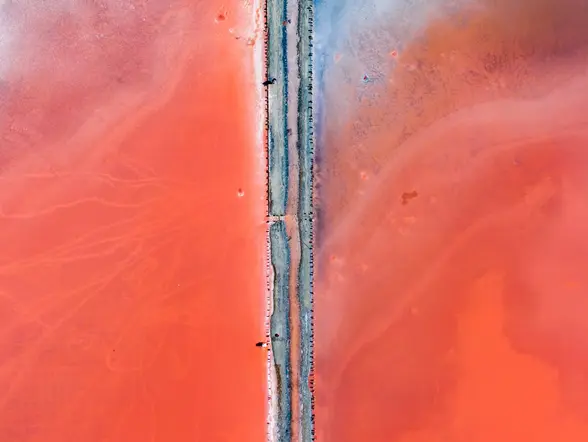 Vista aérea de la Laguna Rosa de Torrevieja con una carretera que divide las intensas aguas rosadas.