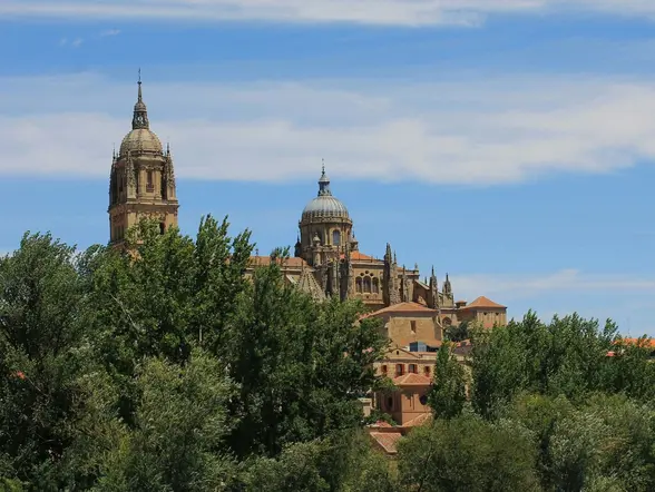 Vista panorámica de la Catedral de Salamanca, España, con sus cúpulas y torre, elevándose sobre los árboles verdes.
