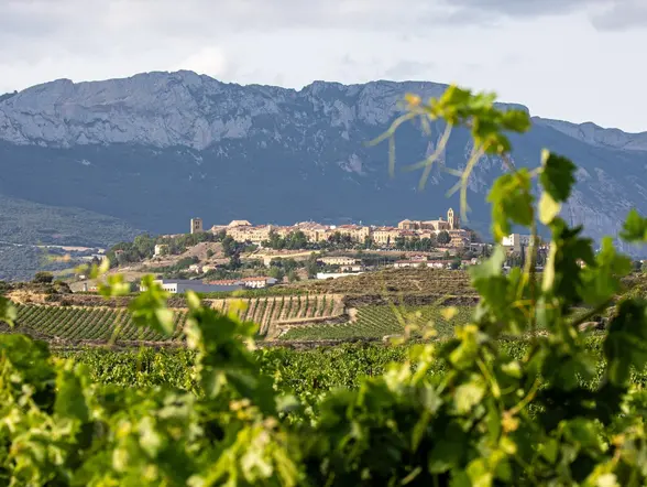 Excursión a Vitoria y La Rioja: Logroño y bodega en Laguardia desde Bilbao