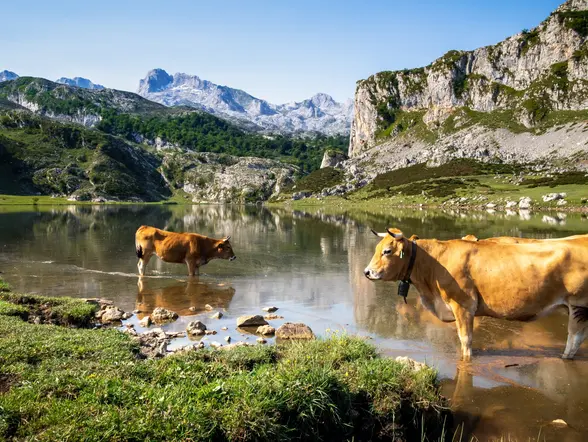 Excursión en 4x4 por los Picos de Europa desde Cangas de Onís