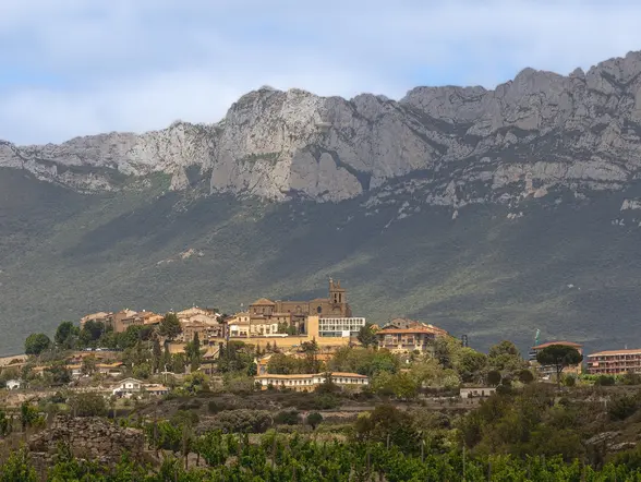Excursión a Vitoria y La Rioja: Logroño y bodega en Laguardia desde Vitoria 