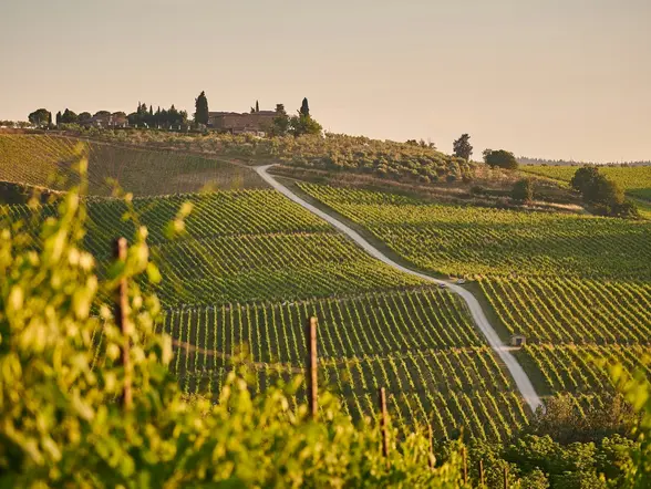 Excursión en tren a la Toscana con almuerzo y cata de vino desde Roma - buendía