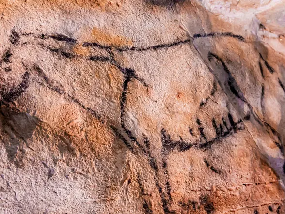 Visita guiada por el Museo de Altamira y la Neocueva - buendía