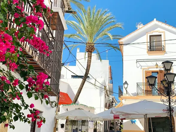 Casas blancas con buganvillas y palmeras en el casco antiguo de Marbella