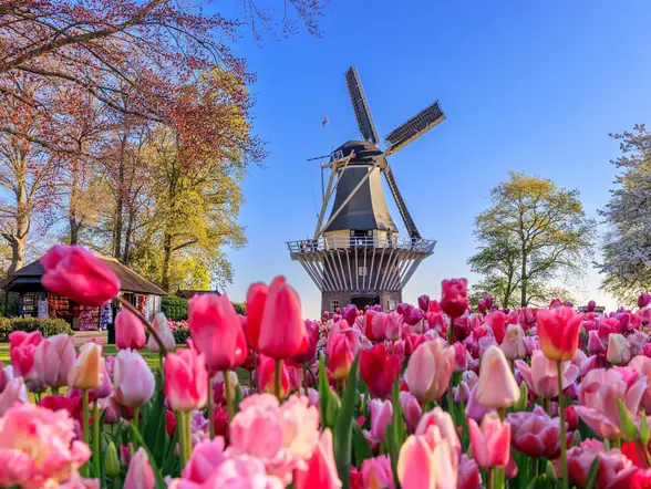 excursión grupos reducidos Keukenhof desde Utrecht