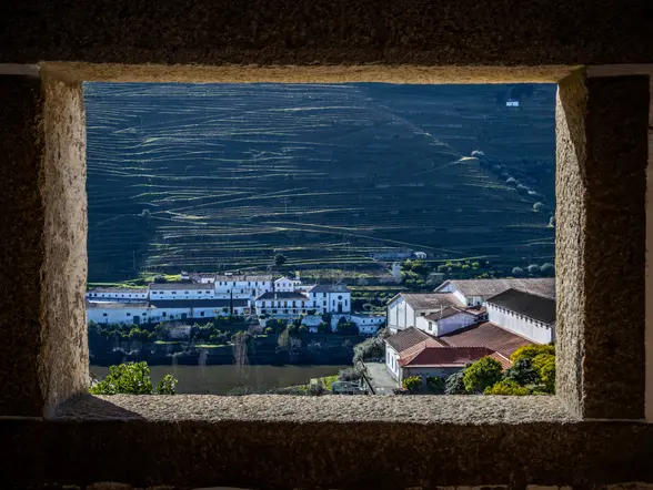 Excursión por el Valle del Duero con cata de vinos, crucero por el río y visita a Lamego desde Oporto - buendía