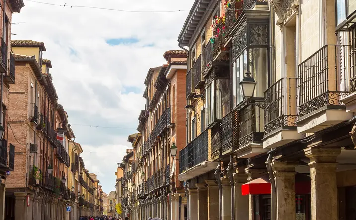 Vista de Alcalá de Henares - Free tour Alcalá de Henares - Excursiones y Actividades en Alcalá de Henares - Buendía