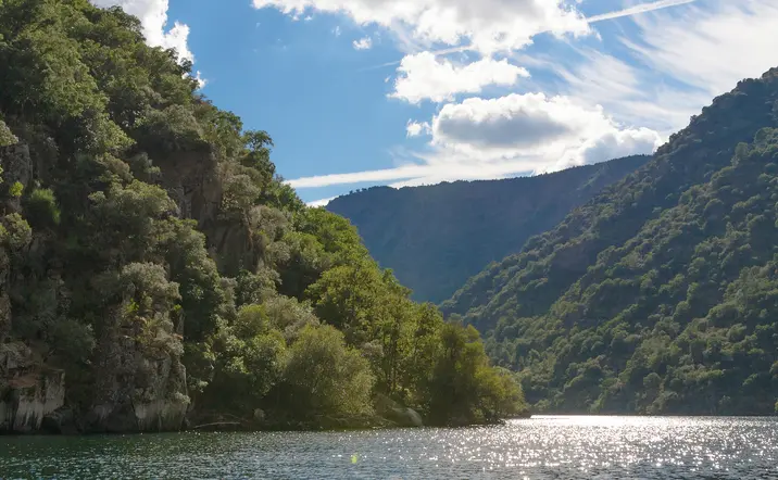 Excursión y cata de vinos en la Ribeira Sacra desde Lugo - Buendía Galicia 