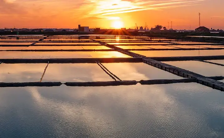 Salinas Aveiro-Visita guiada por las Salinas y Playas de Aveiro con Paseo en Moliceiro