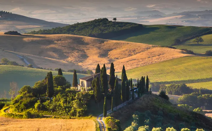 Vista panoramica de la Toscana - Tour a Pisa, San Gimignano y Siena con almuerzo y cata de vinos desde Florencia - Buendía Toscana, Italia