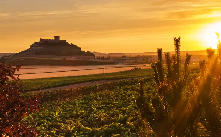 Excursión a Ribera del Duero desde Madrid - Buendía 