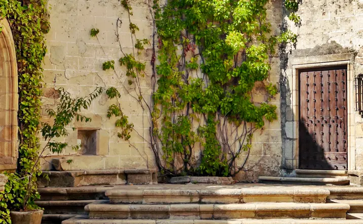 Tour a pie por Trujillo con entradas