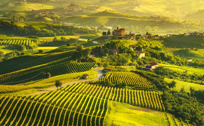 Vista panorámica del paisaje de Chianti, con onduladas colinas cubiertas de viñedos y pequeños pueblos
