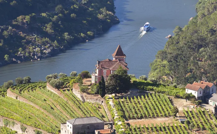 Paseo en barco de Oporto a Régua