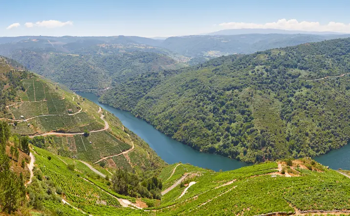 Cañones del río Sil en Ourense - Excursión a la Ribeira Sacra desde Santiago - Excursiones y Actividades en Santiago de Compostela - Buendía 