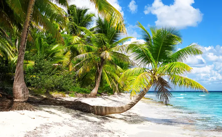 Excursión a Isla Saona con almuerzo desde Punta Cana- Tours turísticos y Actividades Buendía Republica Dominicana