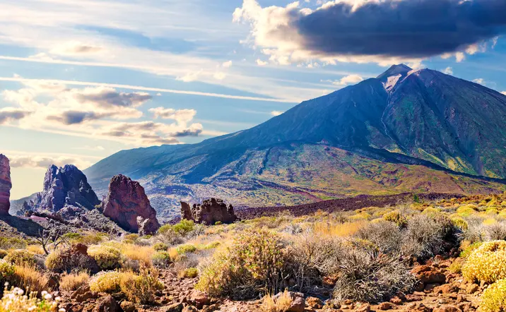 Excursión al Parque Nacional Teide desde Tenerife Sur - Visitas guiadas y Actividades Buendía Canarias