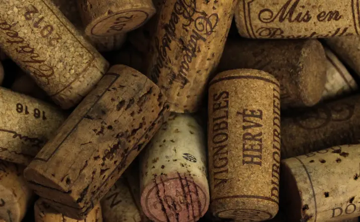 Visita Guiada a Cueva Dorretxe con degustación