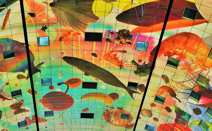 Mercado cubierto Markthal Rotterdam - Tour Privado Róterdam y la Haya - Tours y Visitas guiadas en español Buendía Tour Países Bajos